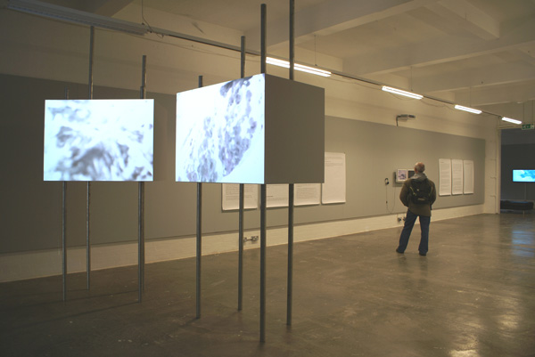 GtGallery