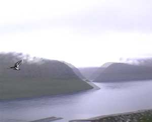 video still