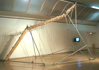 Gecko roof MCA
