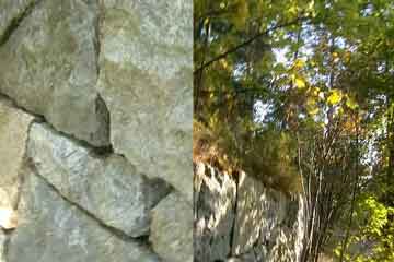 video still